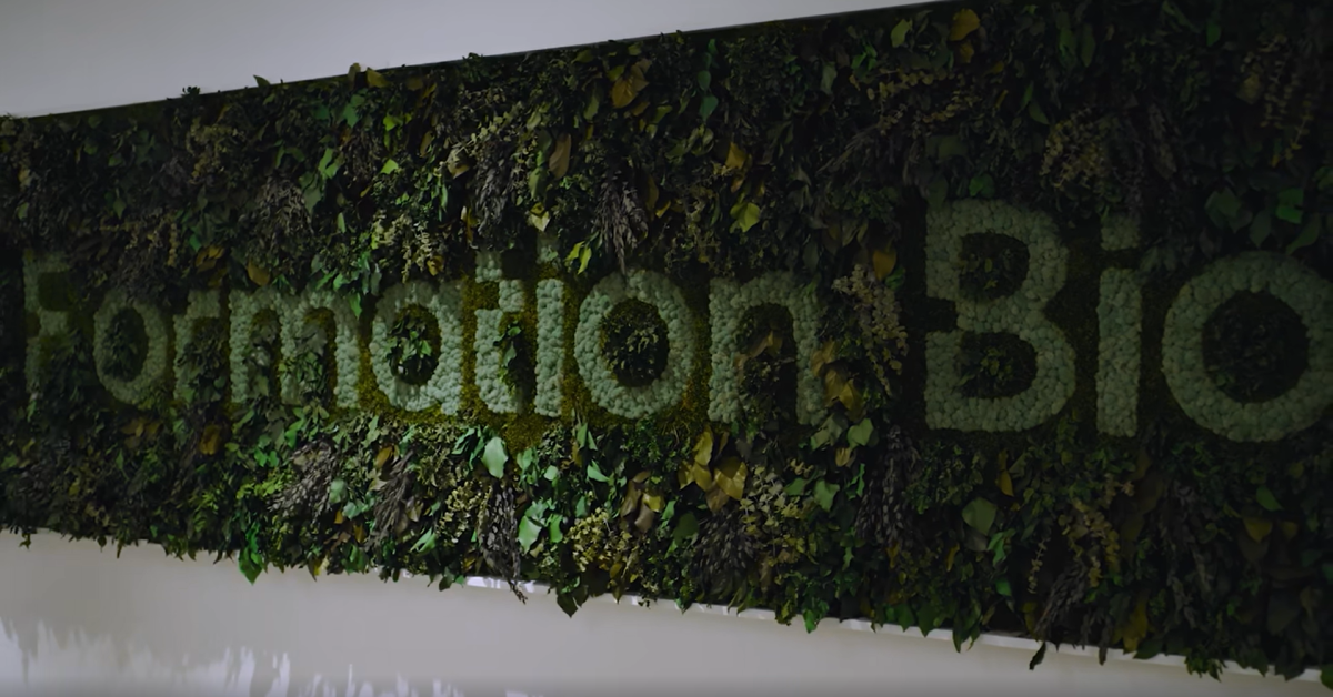 '임상AI' 포메이션, 中 면역 ‘miR-124 활성제’ 5억弗 L/I