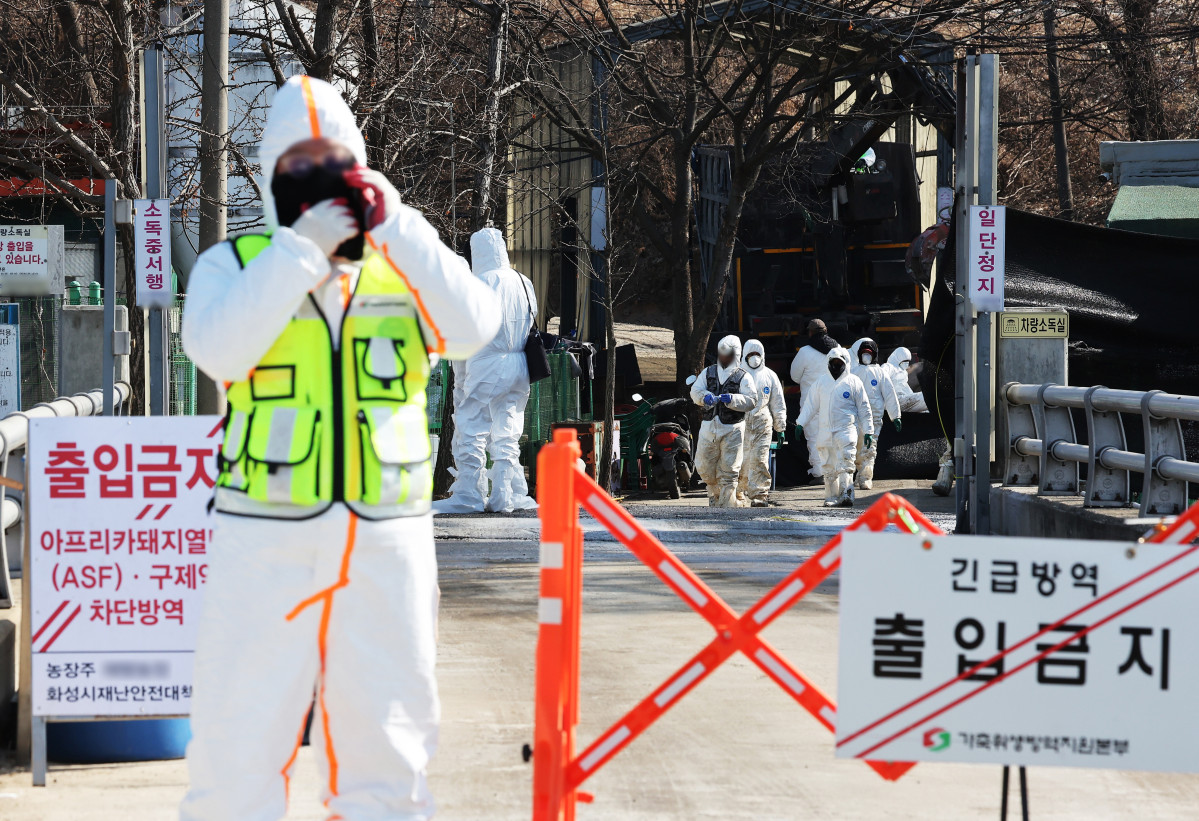 ▲8일 아프리카돼지열병이 발생한 경기도 화성시 한 돼지농장에서 관계자들이 분주하게 움직이고 있다. 아프리카돼지열병(ASF) 중앙사고수습본부는 8일 경기 화성시 돼지농장(1천100마리 사육)에서 전날 아프리카돼지열병이 발생한 것으로 확인됐다고 밝혔다. 올해 들어 전국에서 9번째 발생이다.  (연합뉴스)