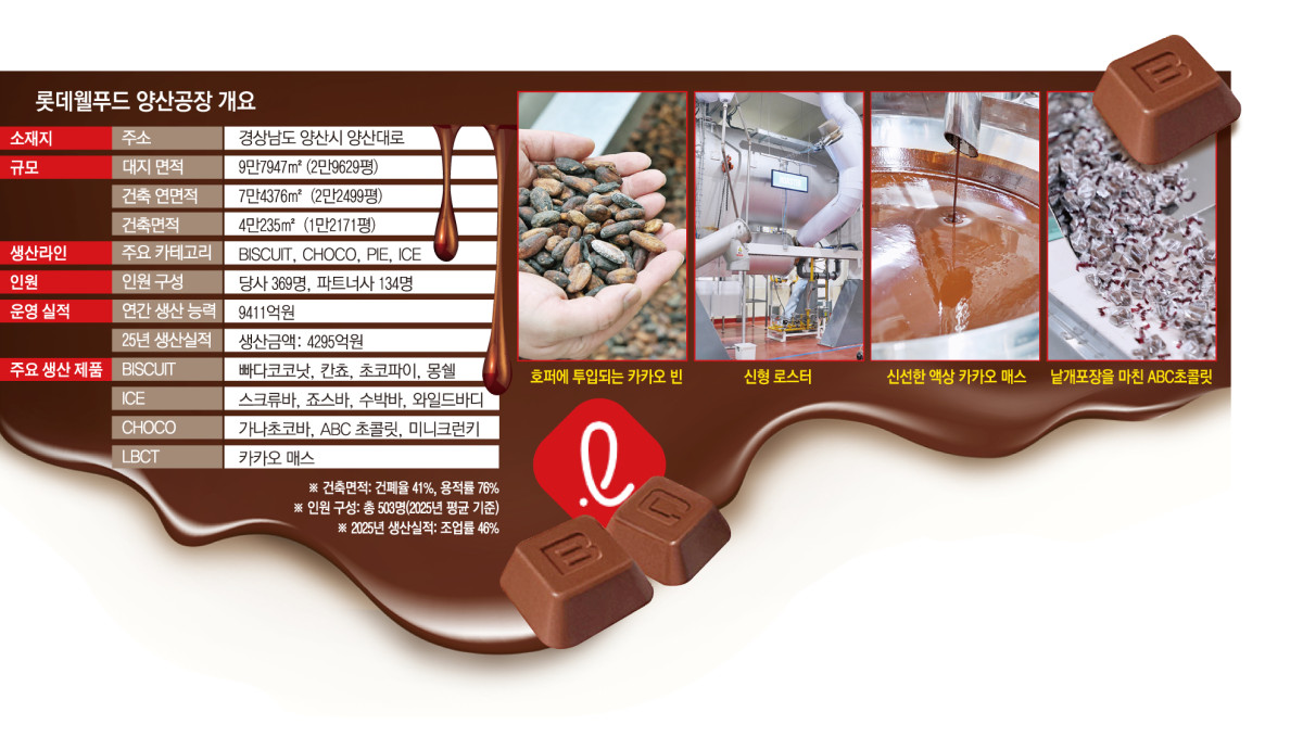 ▲롯데웰푸드 양산공장 개요 및 카카오빈~초콜릿 생산공정 (이투데이 그래픽팀=손미경 기자)
