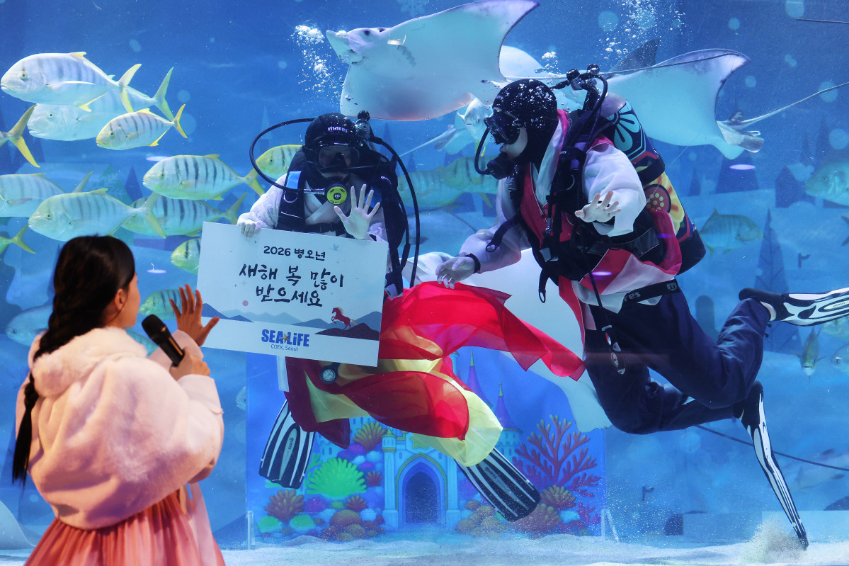 (연합뉴스)