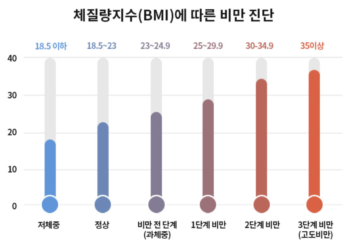 (제공=서울시민 건강포털)