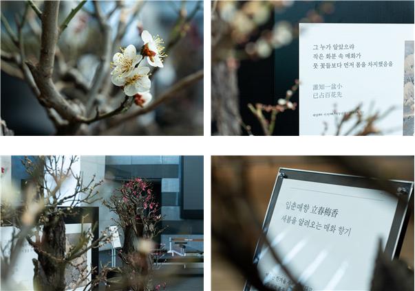 ▲입춘매향 전시 (사진제공=국립중앙박물관)