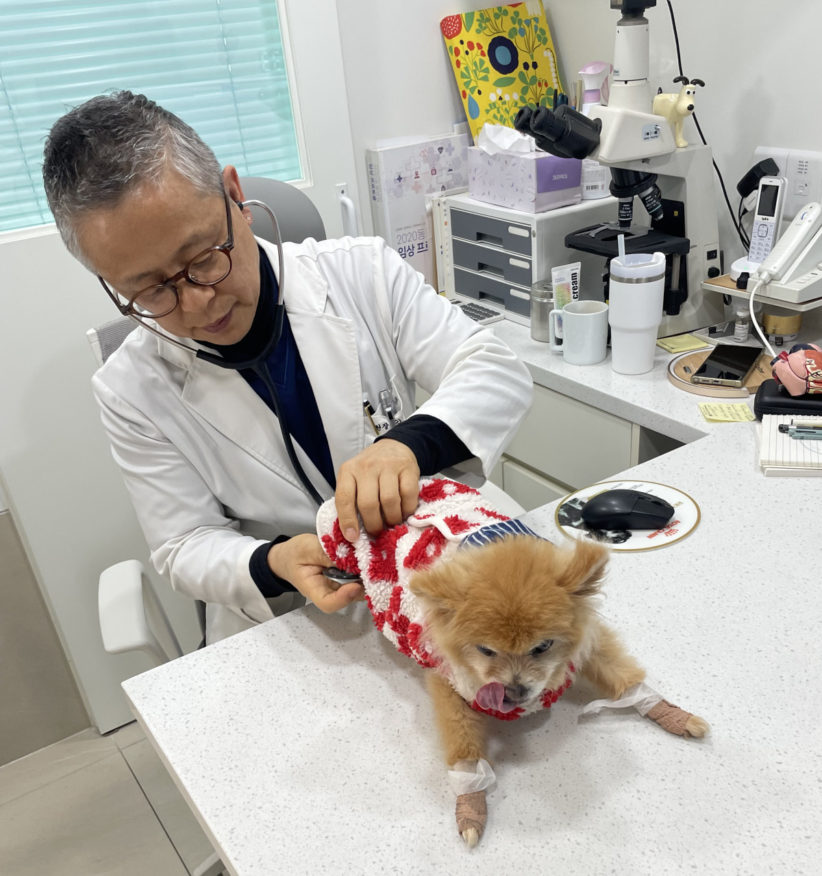 ▲서울 영등포구의 ‘우리동네 동물병원’에서 수의사가 반려동물을 진료하고 있다. (사진제공=영등포구)