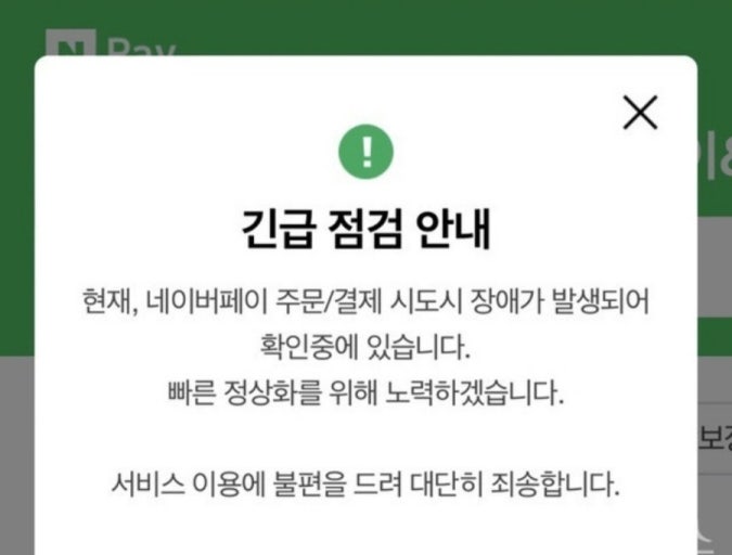 ▲네이버페이 점심시간 대란…4시간 넘게 결제 오류 (출처=네이버페이)