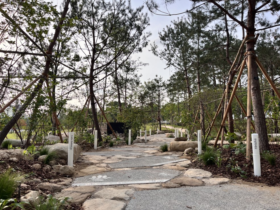 ▲2025년 보라매 서울국제정원박람회에 아시아산림협력기구에서 조성한 정원 'The Spring Grove' (서울시 제공)