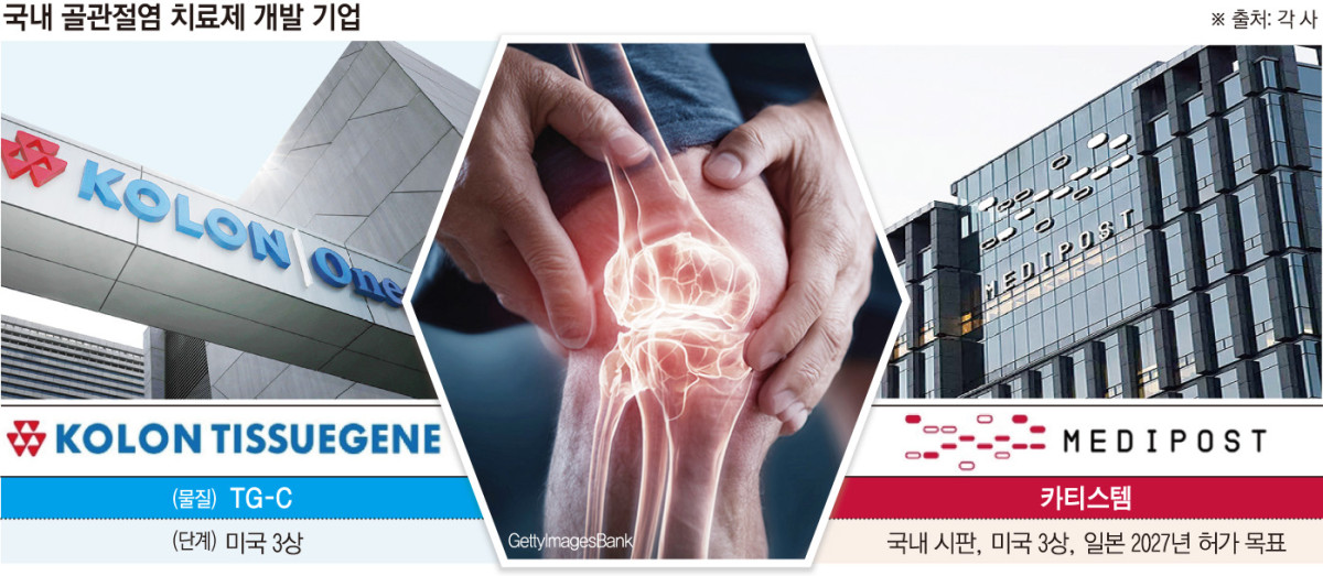 글로벌 시장 노리는 K-관절염 신약들…FDA 문턱 넘을까