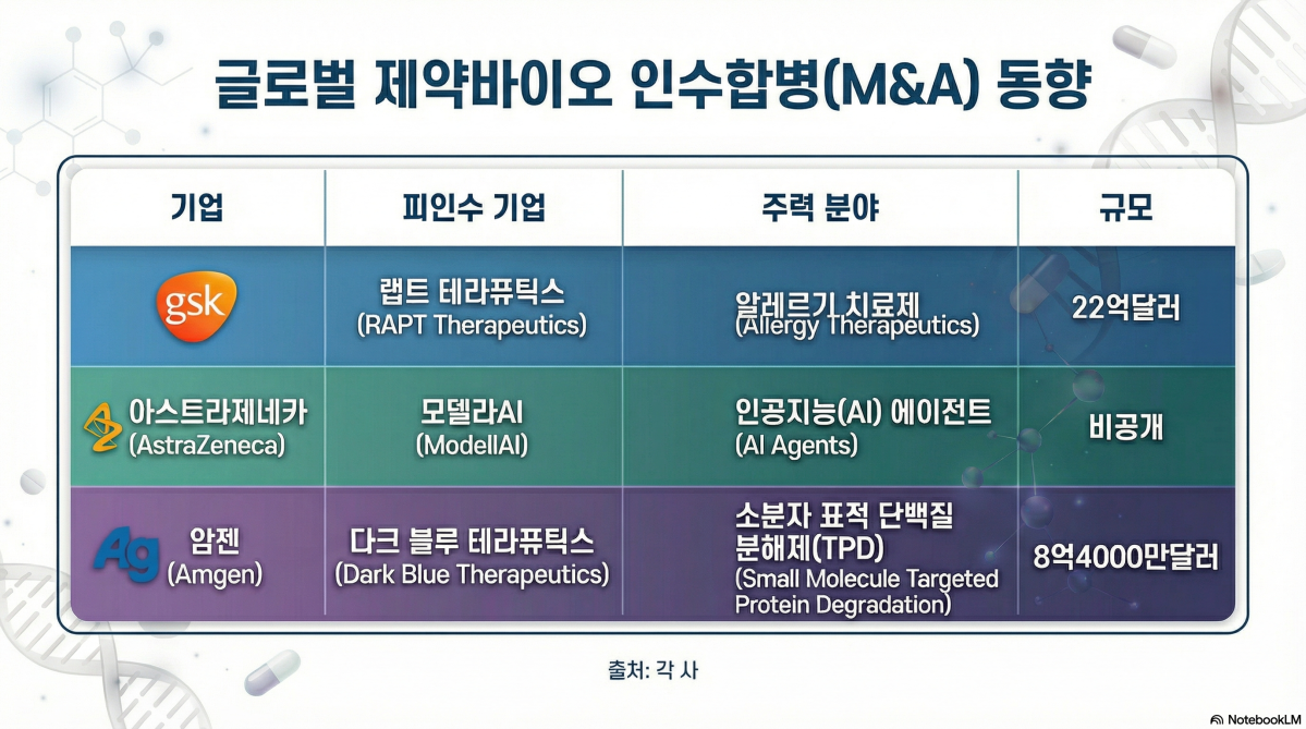 (제약=구글AI 노트북LM)