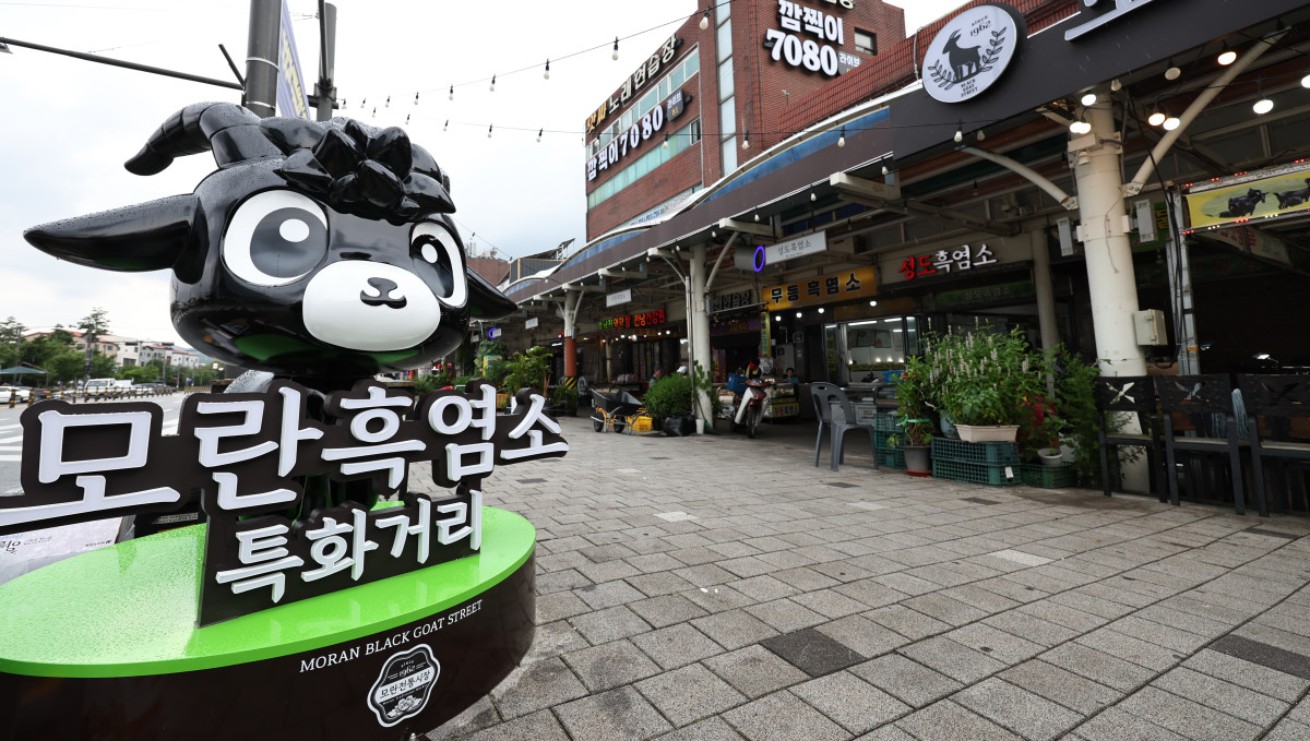 ▲개식용종식법 시행일인 2024년 7일 오전 경기 성남시 모란시장 보신탕거리에 '모란 흑염소 특화거리' 입간판이 설치돼 있다. '개의 식용 목적의 사육·도살 및 유통 등 종식에 관한 특별법 시행령안' 시행에 따라 정부는 오는 2027년 2월 7일까지 3년의 유예기간을 두고 개 식용 업계에 전·폐업을 지원한다. (뉴시스)