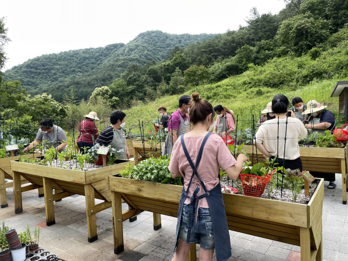 ▲치유농업 인증시설 '드림뜰 힐링팜' (사진제공=한국농업기술진흥원)