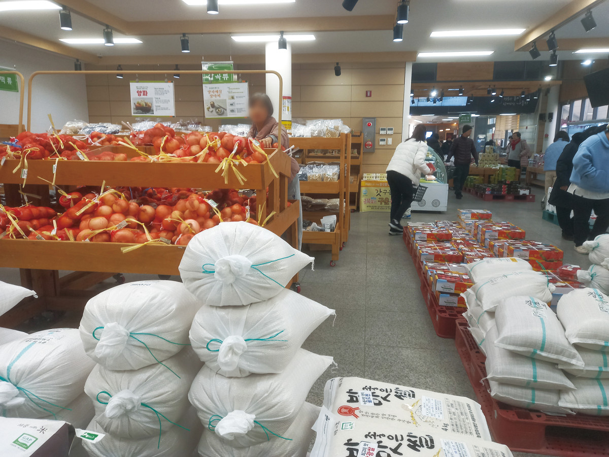 (함인희 이화여자대학교 사회학과 명예교수)
