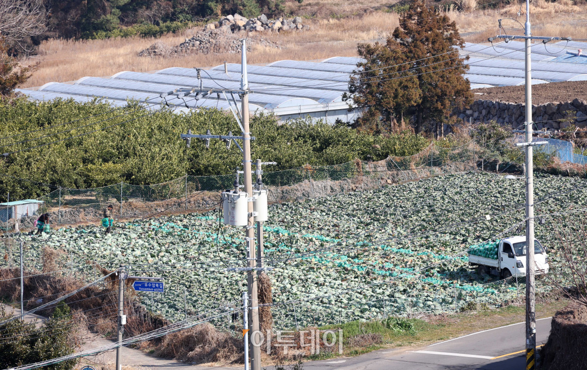 ▲고이란 기자 photoeran@