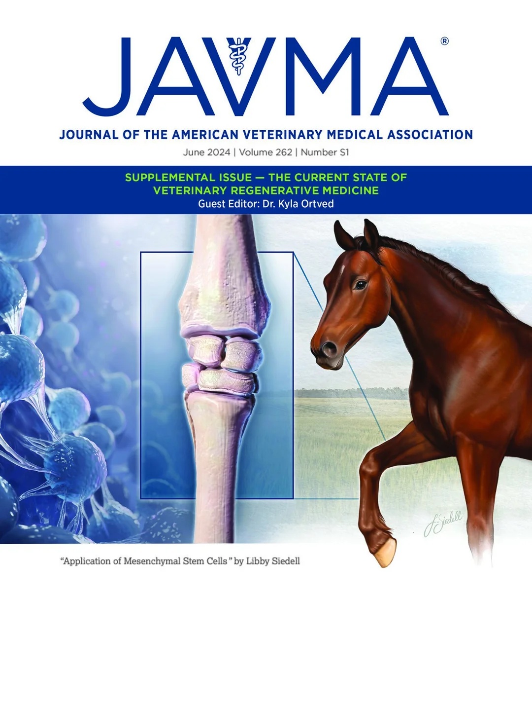 ▲EVJ(Equine Veterinary Journal) 학술지 (자료제공=한국마사회)