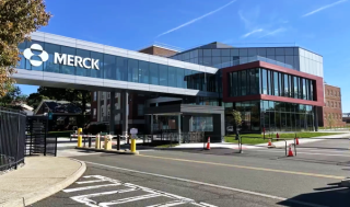 머크, '키트루다' 특허절벽에도 "10년내 매출 700억弗”