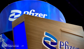 화이자 "사활", '1개월' GLP-1 비만 첫 윤곽 '의구심..'