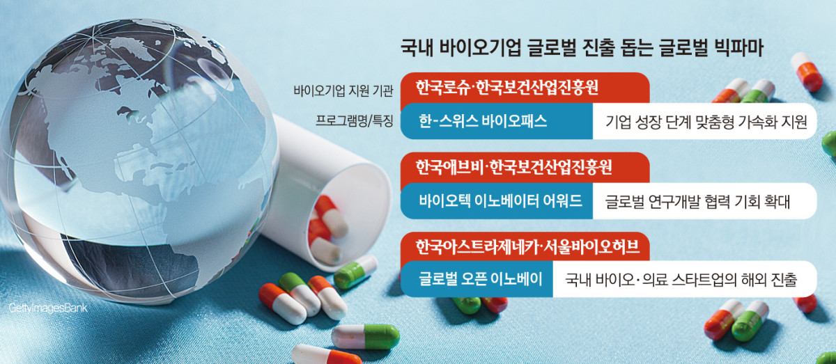 (그래픽=손미경 기자 sssmk@)
