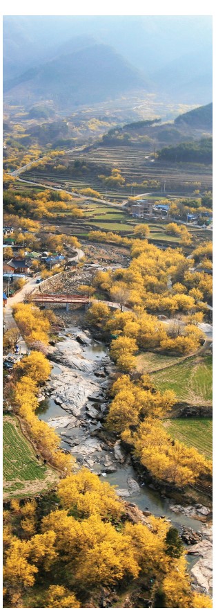 ▲전남 구례군 산동면 산수유 전경. (사진제공=구례군)