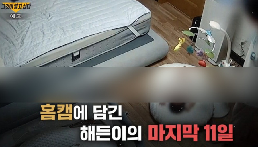 ▲'그알' 여수 학대 친모 신상털기, 문제없을까? 그것이 알고 싶다 해든이 사망 사건 홈캠 조명…들끓는 분노와 신상 공개 (출처=SBS '그것이 알고싶다' 캡처)