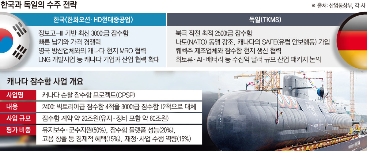 ▲그래픽=손미경 기자 sssmk@