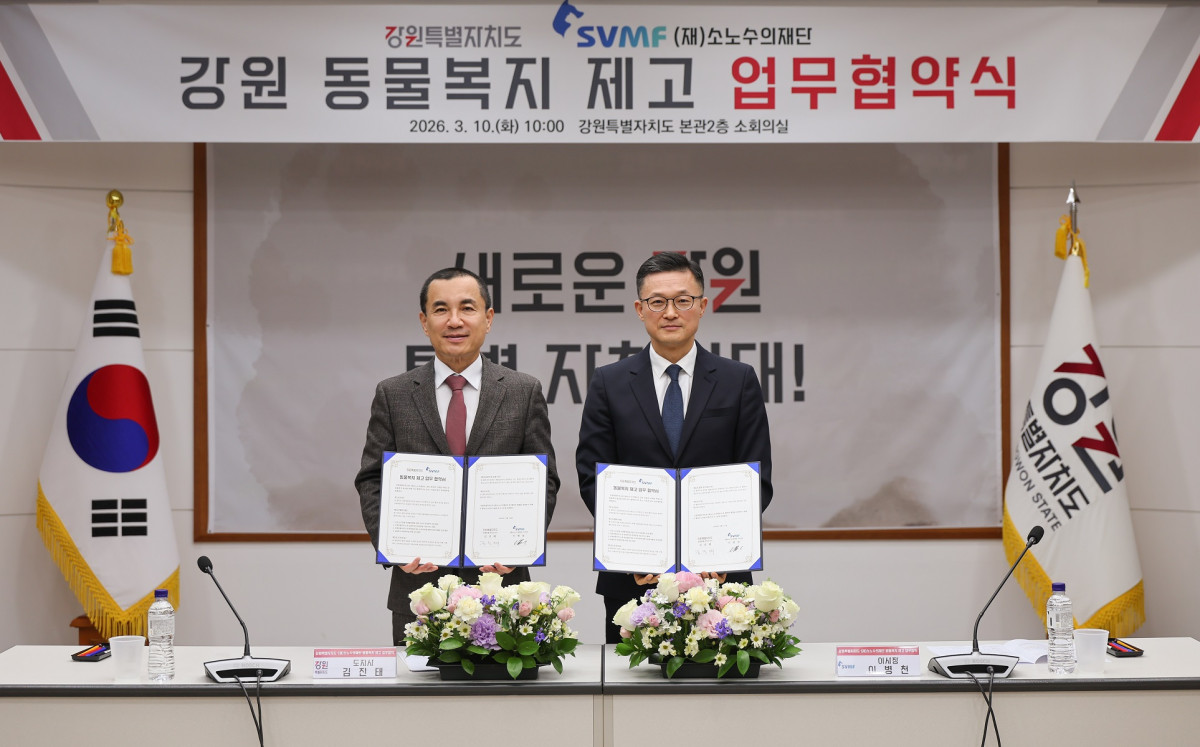 ▲소노수의재단이 강원특별자치도와 도내 유기묘 입양·반려동물 의료지원 확대를 위한 업무협약을 10일 강원특별자치도청 본관 소회의실에서 진행했다. (사진제공=소노수의재단)
