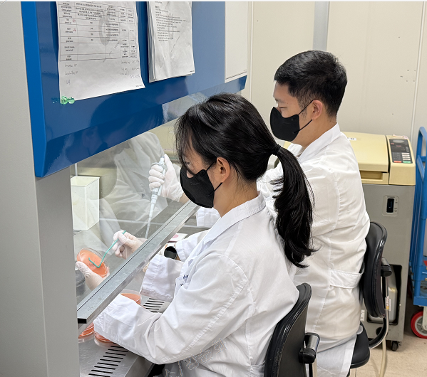 ▲농협경제지주 식품연구소 연구원들이 신학기를 맞아 급식용 농협김치의 위생관련 미생물 검사를 실시하고 있다. (사진제공=농협경제지주)