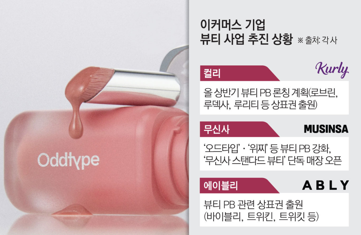 ▲이커머스 기업 뷰티 사업 추진 상황 (이투데이 그래픽팀=김소영 기자)
