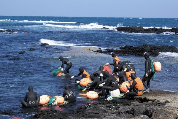 ▲물질에 나서고 있는 제주해녀 (사진제공=제주도)