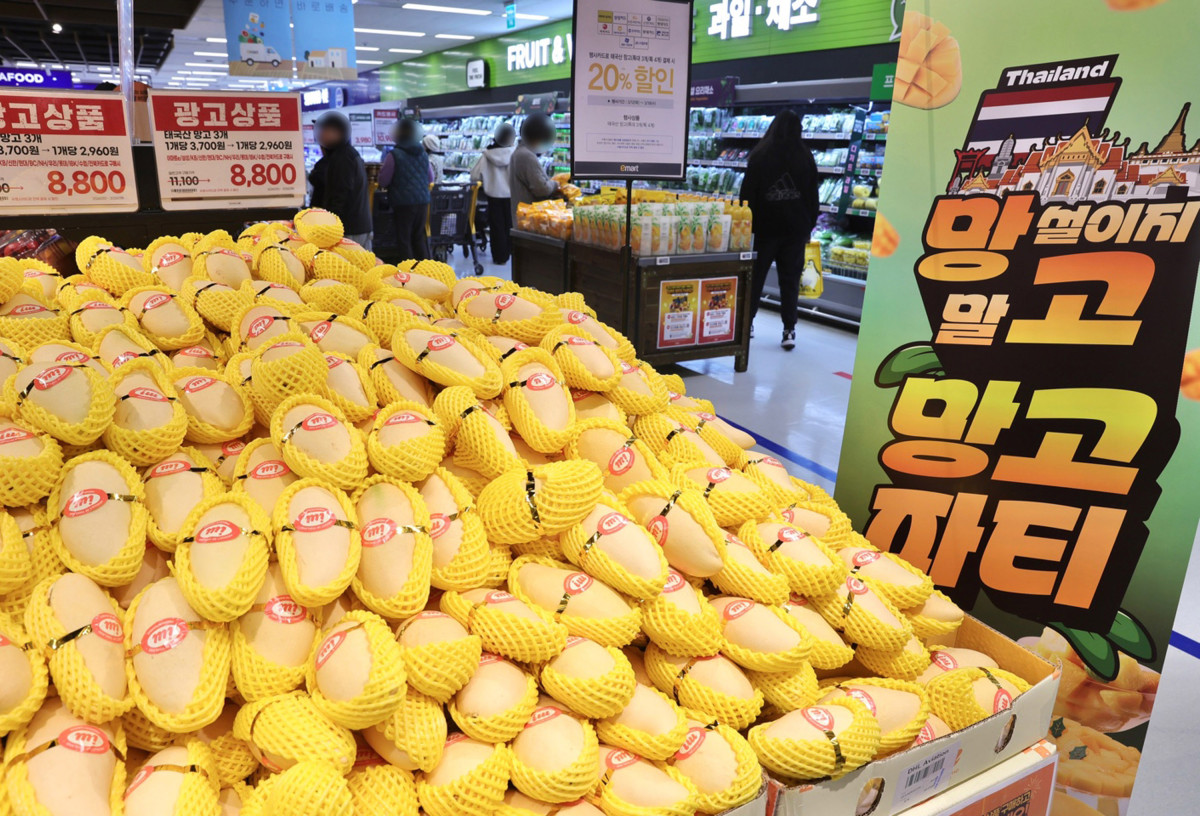 ▲이마트 용산점 망고 매대 (사진제공=이마트)