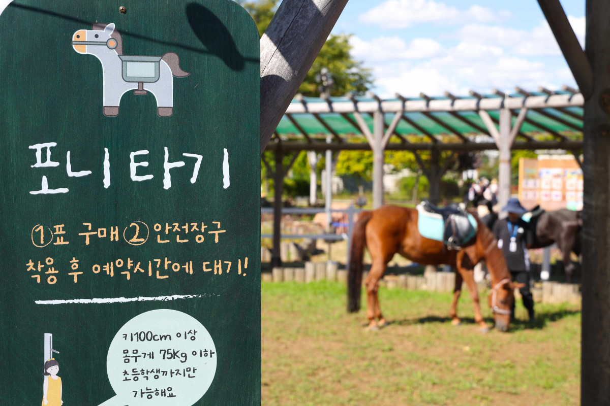 ▲포니타기 프로그램 현장 (사진제공=한국마사회)