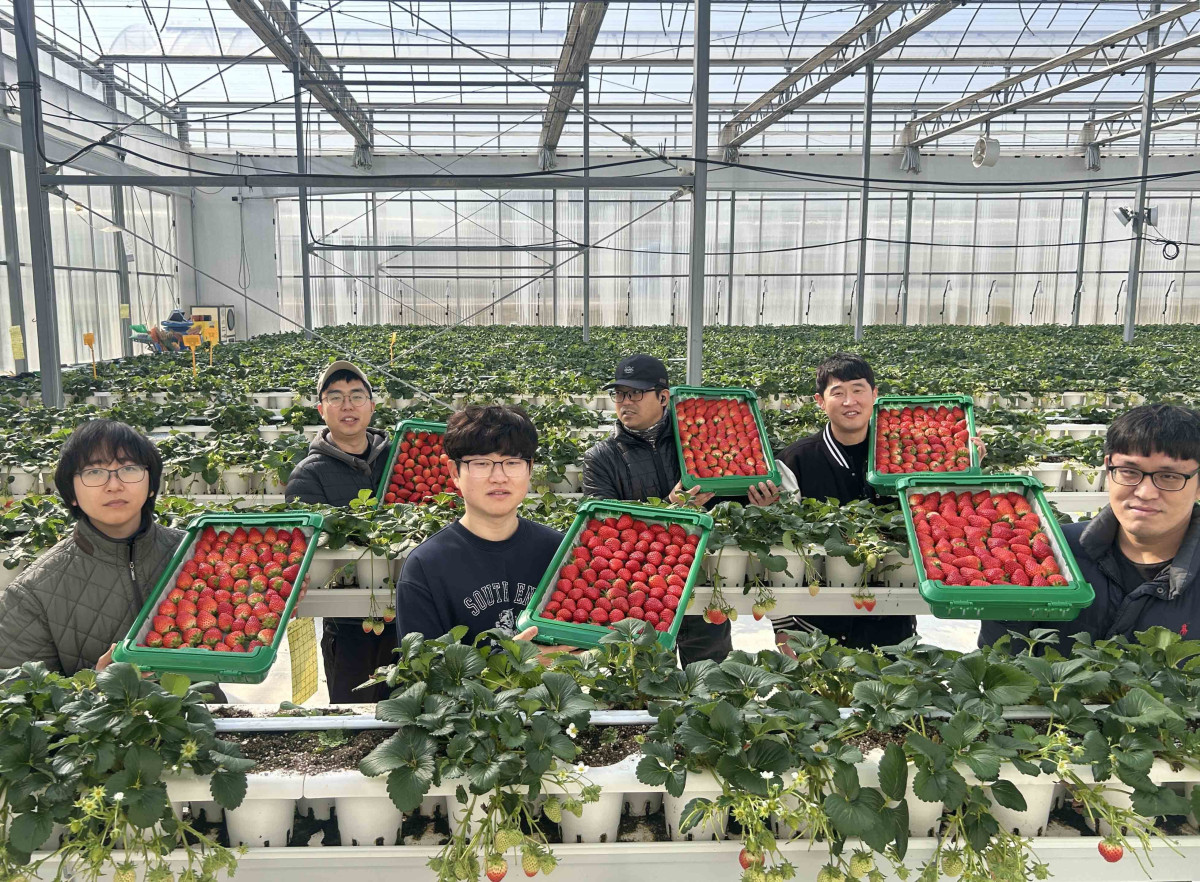 ▲경북 의성의 '진한딸기 공선회' 청년 농부들이 재배한 상품을 선보이고 있다. (사진제공=쿠팡)