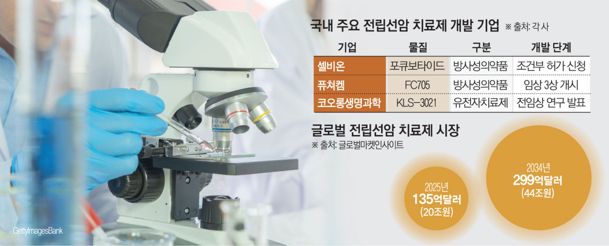 (그래픽=김소영 기자 sue@)