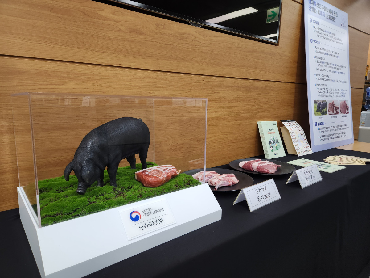 ▲18일 정부세종청사에서 열린 '난축맛돈 산업화 성과 및 확산 계획' 브리핑에서 난축맛돈 관련 자료들이 진열돼 있다. (노승길 기자)