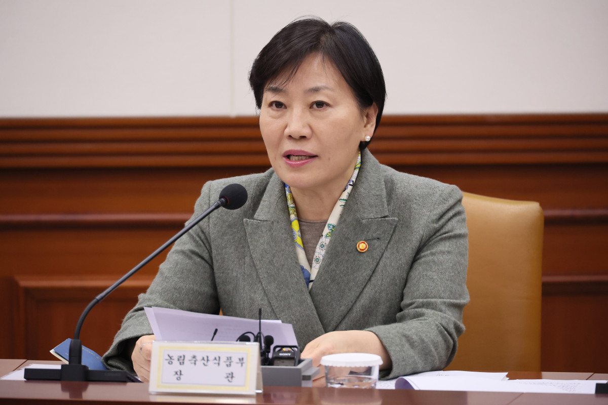 ▲송미령 농림축산식품부 장관이 12일 서울 종로구 정부서울청사에서 열린 민생물가 특별관리 관계장관 TF에서 발언하고 있다. (연합뉴스)
