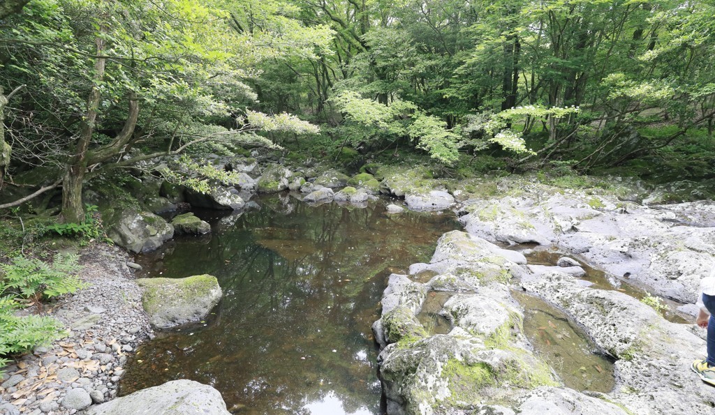 ▲제주 천미천 삼다수 숲길 구간. (사진제공=연합뉴스)