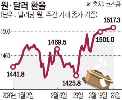 ▲그래픽 : 손미경