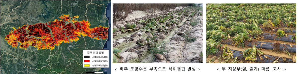 ▲2025년은 역대 최대 규모의 산림 피해를 기록한 대형 산불, 1973년 관측 이래 가장 뜨거웠던 여름, 시간당 100㎜가 넘는 기록적인 집중호우, 108년 만의 극심한 가뭄이 동시다발적으로 나타나 ‘기후위기의 시대’가 심화되고 있음을 보여주고 있다. (국가기후위기대응위원회)