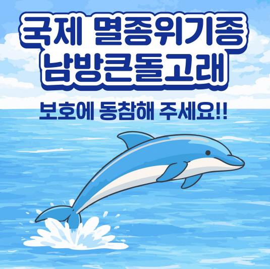 ▲제주도 홍보포스터
. (사진제공=제주도)