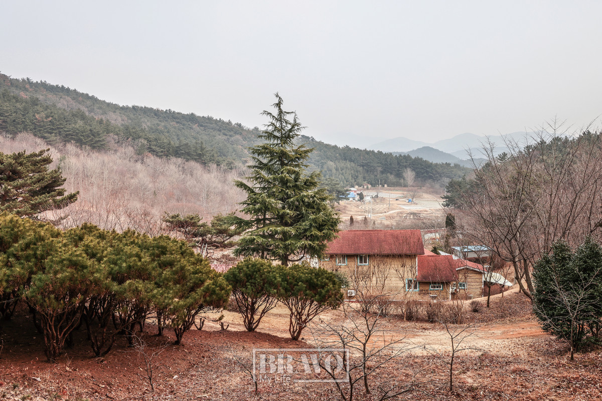 (주민욱 프리랜서)