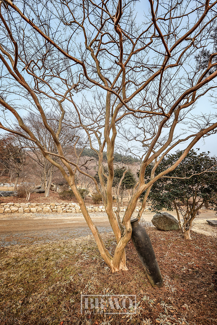 (주민욱 프리랜서)