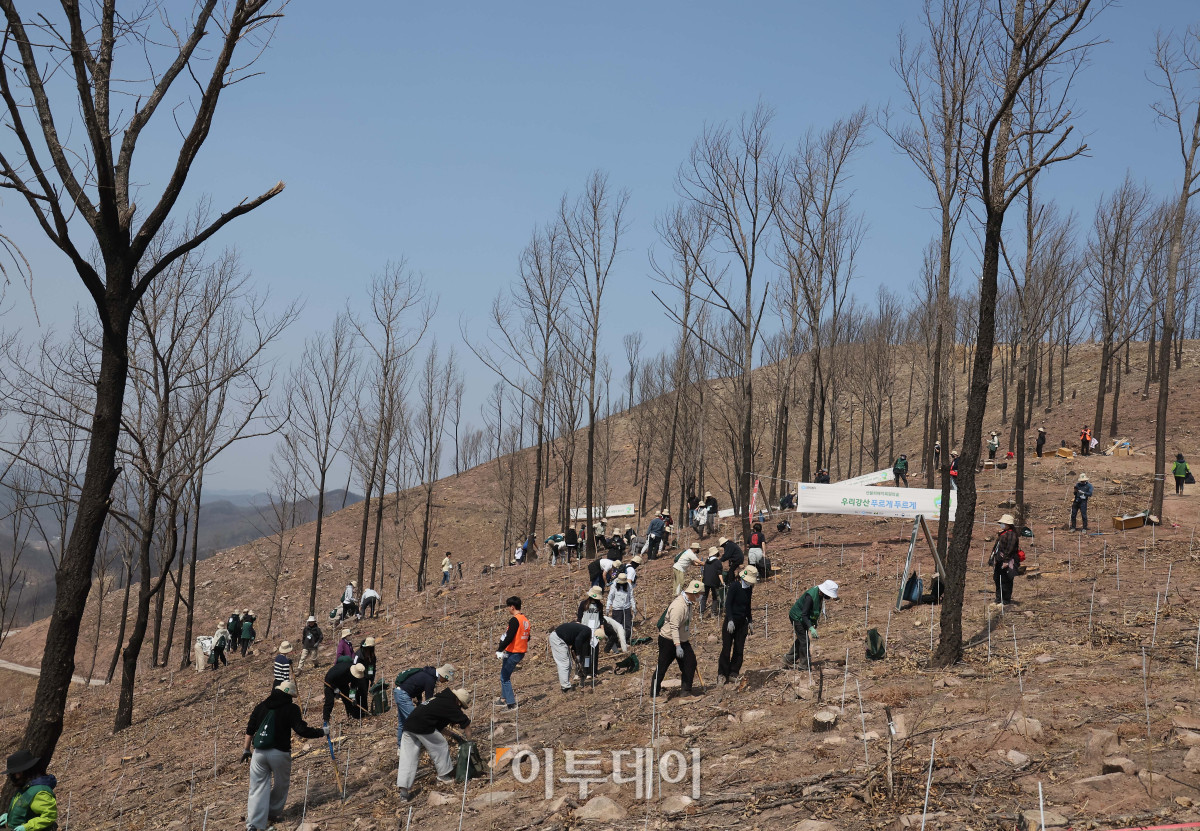 ▲사진제공=유한킴벌리