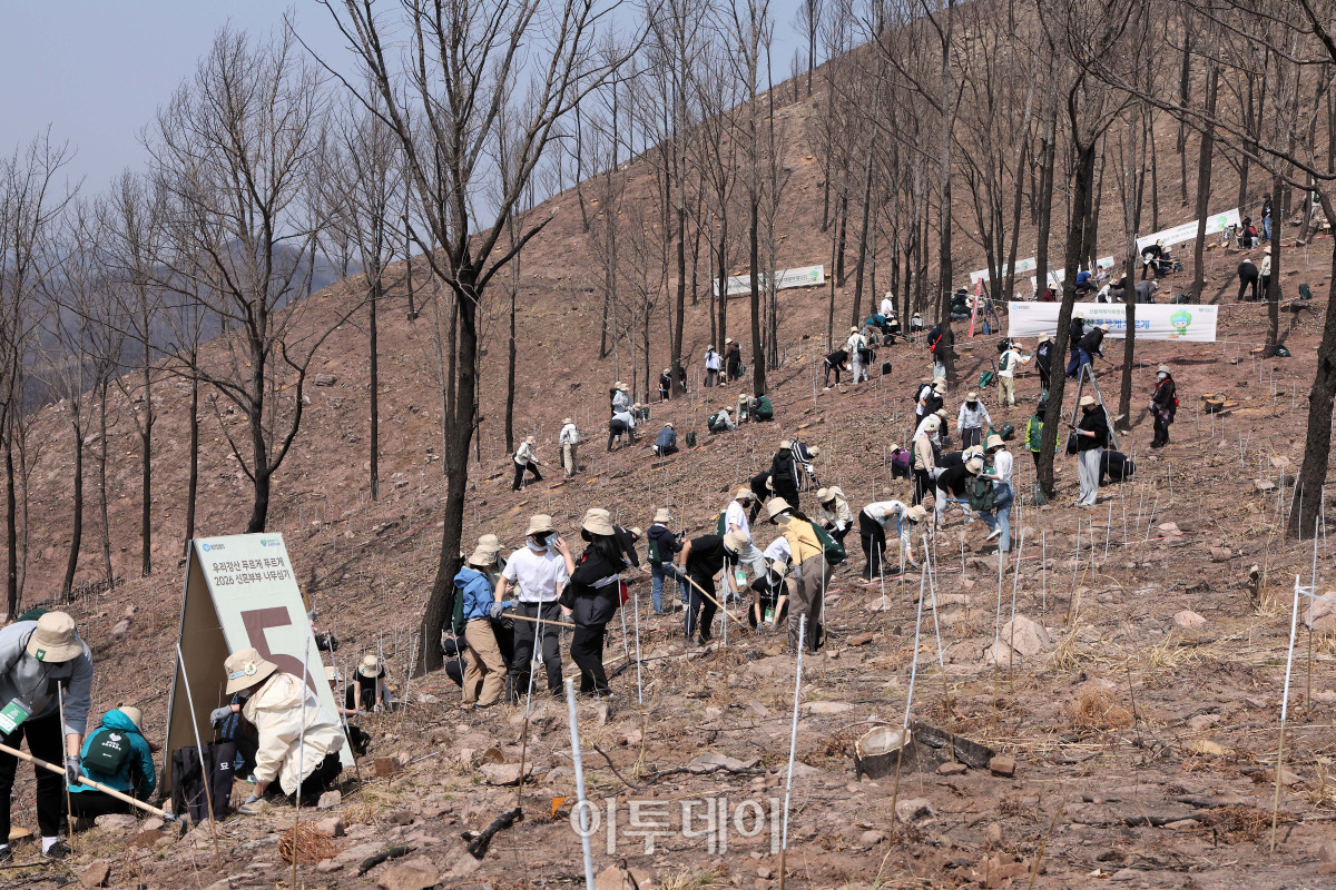 ▲사진제공=유한킴벌리