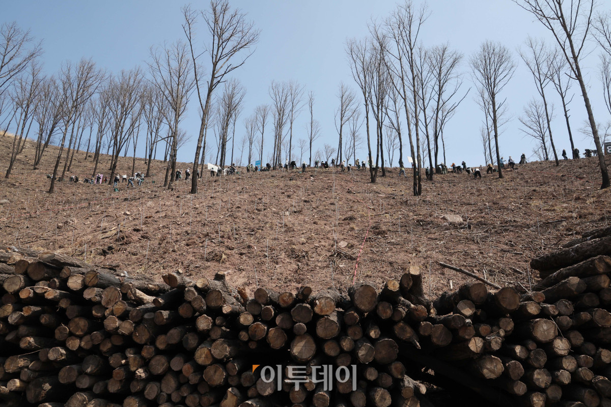 ▲사진제공=유한킴벌리