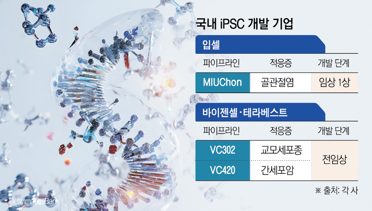 (그래픽=신미영 기자 win8226@)