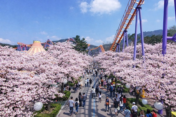 (서울랜드 제공)
