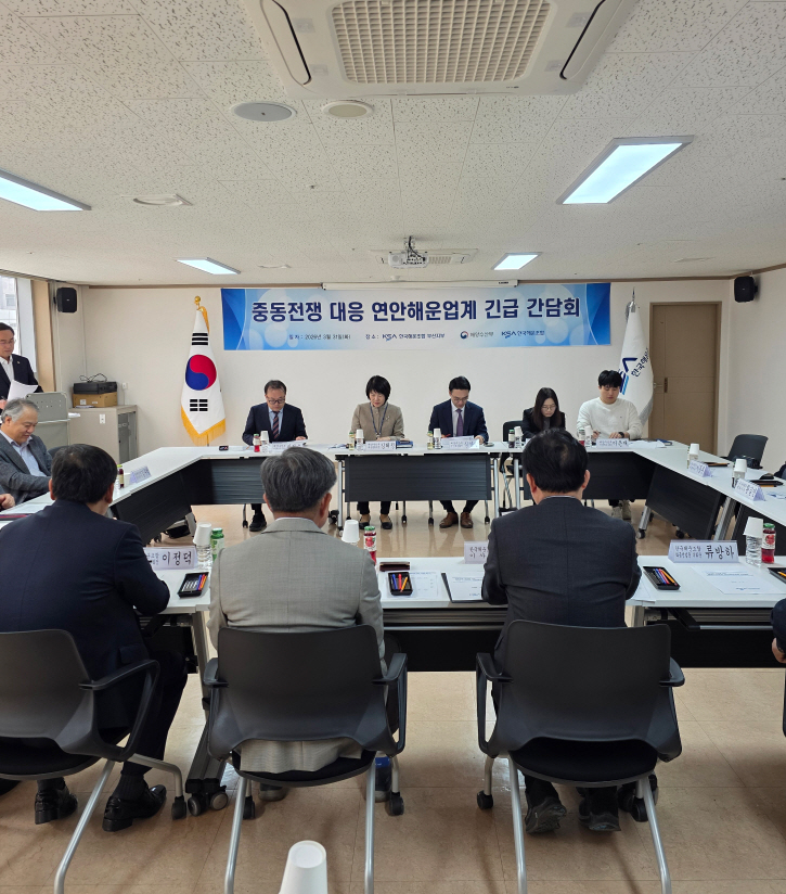 ▲김혜정 해양수산부 해운물류국장이 31일 부산 한국해운조합 부산지부에서 해운조합 임원진, 선사대표와 간담회를 주재하고 있다. (사진제공=해양수산부)