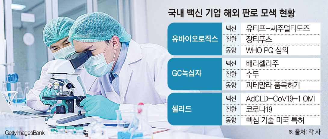 (그래픽=손미경 기자 sssmk@)