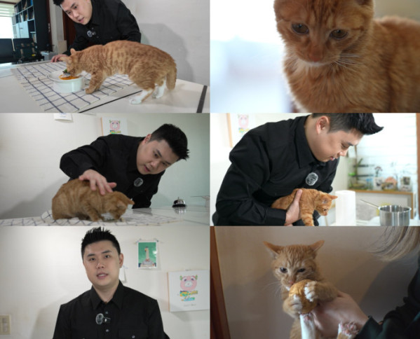 ▲'TV동물농장' (사진제공=SBS )