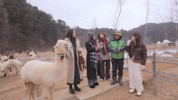 ▲'황신혜의 같이 삽시다'(사진제공=KBS 1TV)
