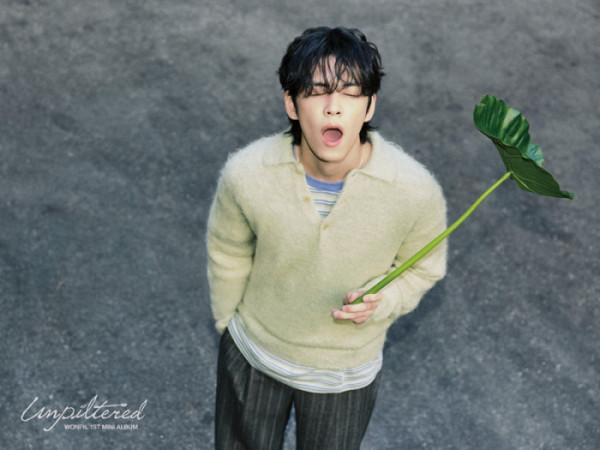 ▲데이식스 원필(사진제공=JYP엔터테인먼트)