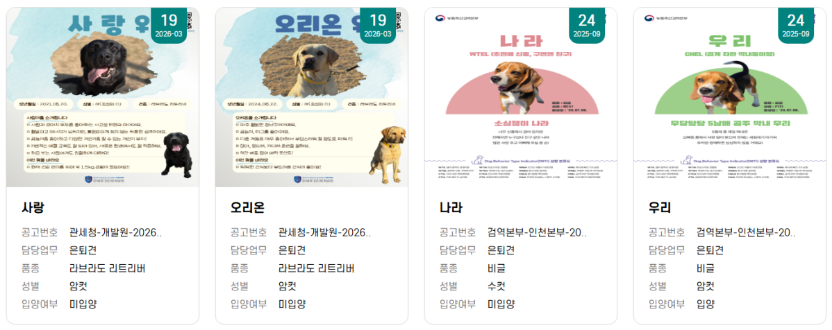 ▲국가봉사동물 입양정보 화면. (국가동물보호정보시스템)