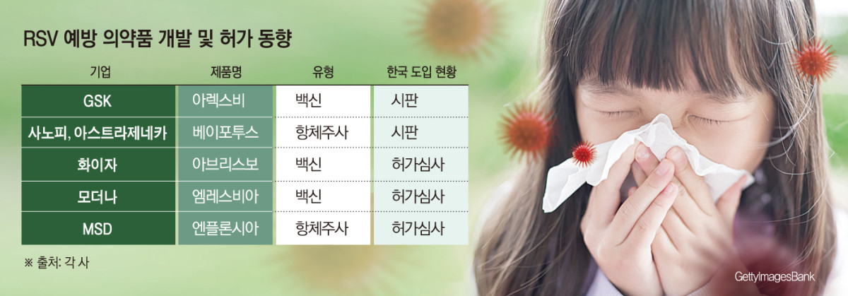 영유아에서 성인까지…RSV 예방 항체주사·백신 시장 쑥쑥